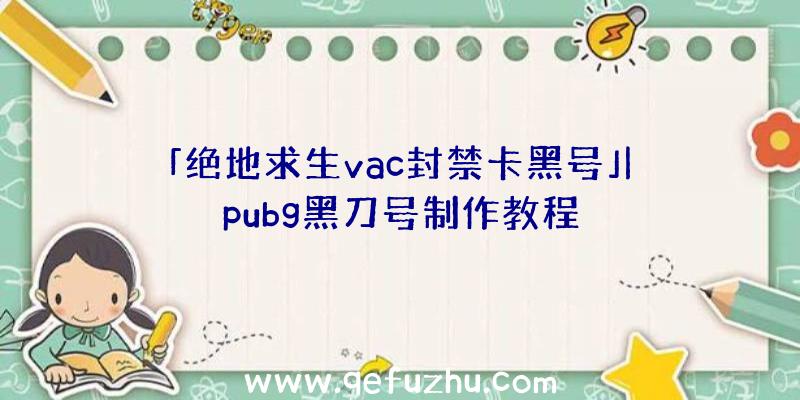 「绝地求生vac封禁卡黑号」|pubg黑刀号制作教程